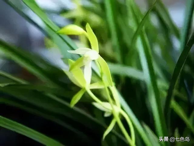 什么颜色代表友谊 什么颜色代表友谊（什么颜色代表友谊合作） 生活