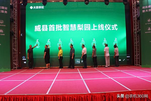 梨园摘果机械展