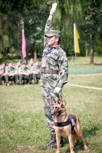 神犬奇兵剧情