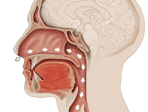 张口呼吸会长歪，用“闭嘴贴”？医生：胡来！