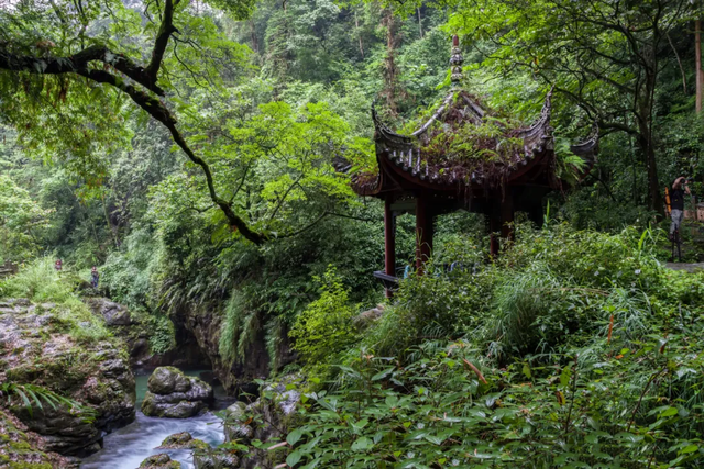 峨眉山独特的住宿方式（峨眉山寺院住宿体验）