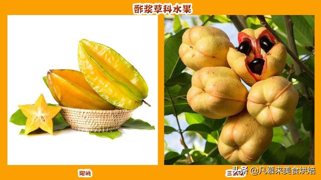 水果有哪些 水果有哪些（水果有哪些形状） 生活