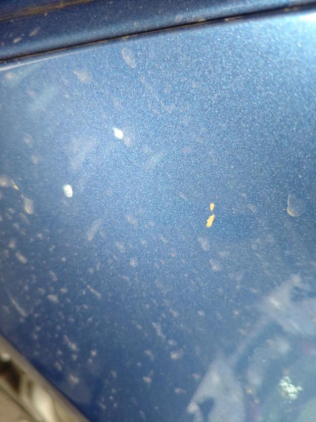 11.98萬收寶馬3系，圓你藍天白雲夢，家用代步好選擇！ - 