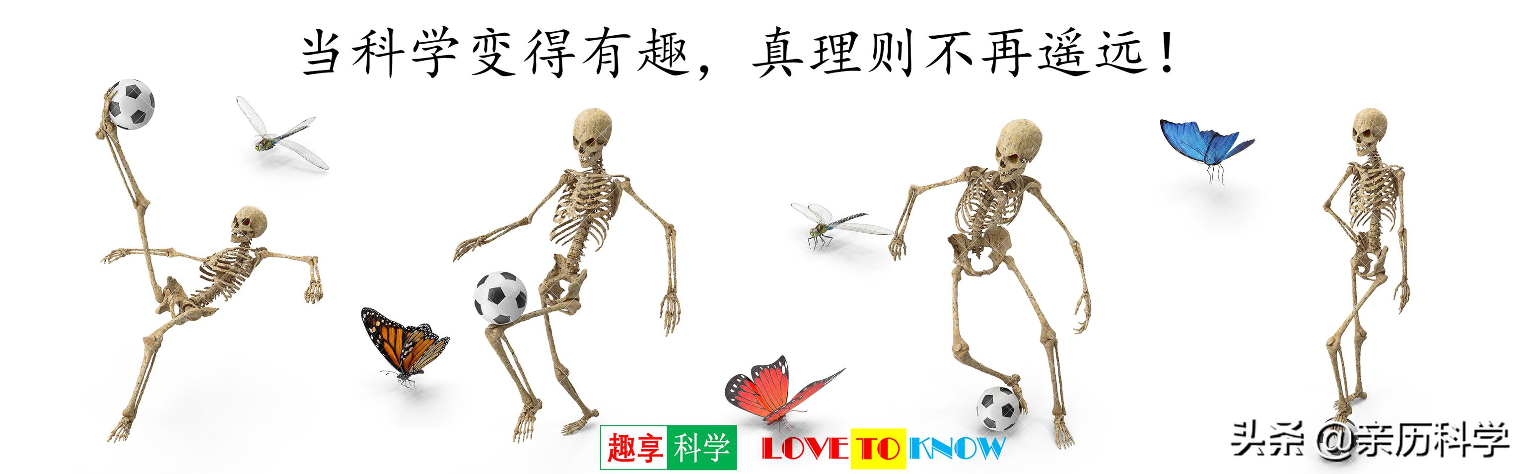 考古学家计划用宇宙射线扫描胡夫金字塔，以了解所有隐藏空间