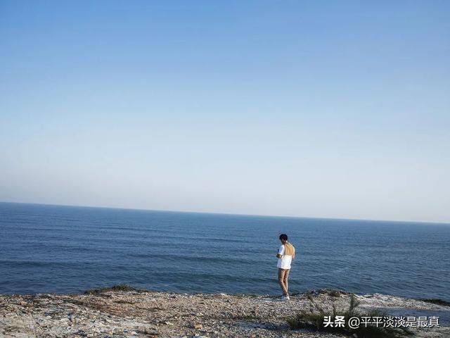 改变一生的三大强者效应：鲶鱼效应，鳄鱼效应，鲦鱼效应
