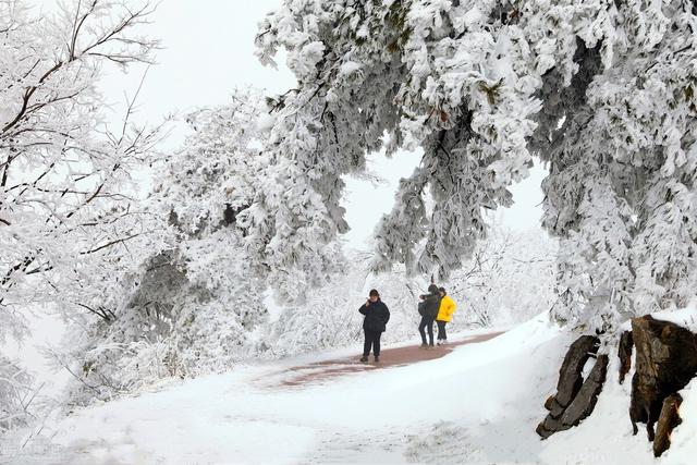 抹黑北京冬奥用“假雪”，遭奥委会和运动员打脸，为啥不用真雪？