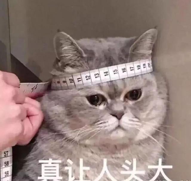 取消中考，北京开始试点；其它地方的城市会跟进吗？