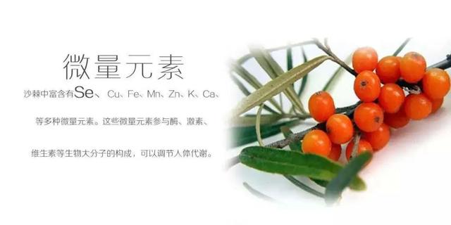 沙棘油真的老少皆宜吗？