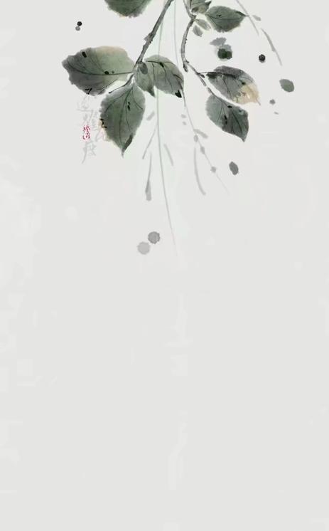 散文：岁月花开，等美好归来；岁月如墨，勾勒人生淡然