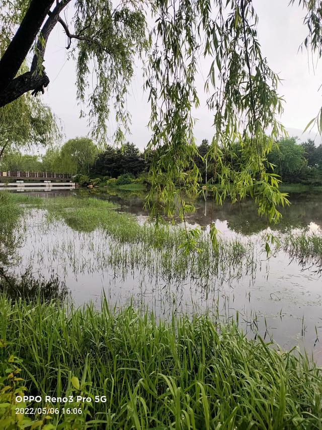 雨后戴河公园