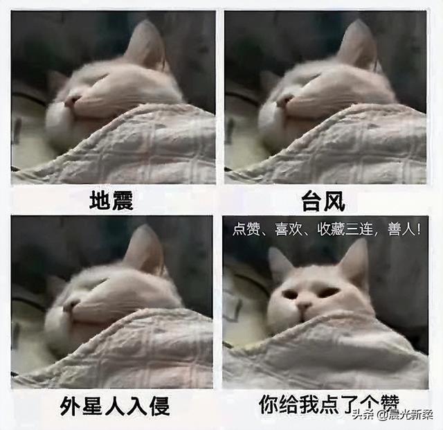 CAD、草图大师 不渲染怎么配T1000显卡电脑主机？