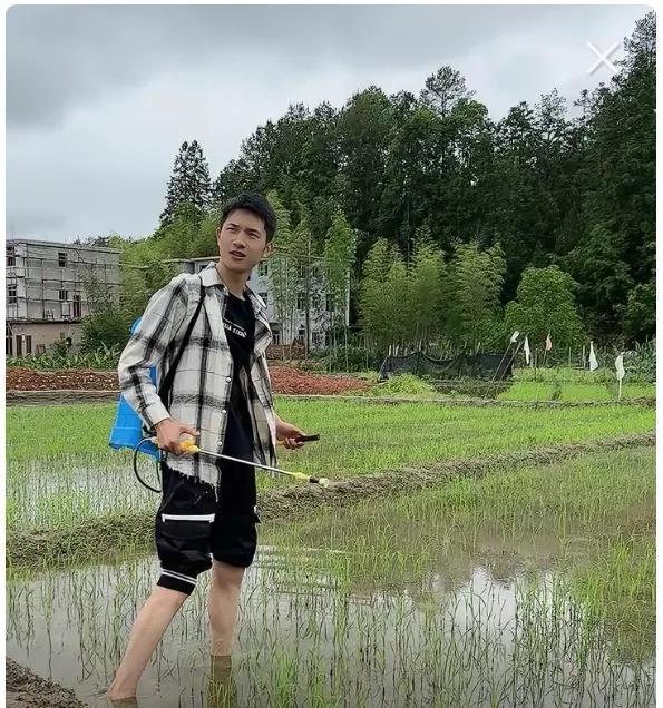 你劳动了吗