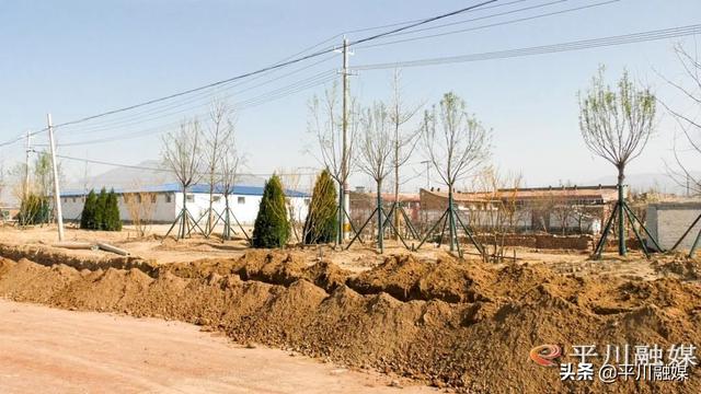 平川区：“国储林+绿色通道”厚植生态底色 扮靓城乡街景
