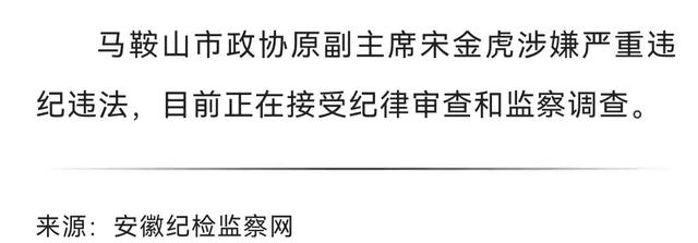 宋金虎被查