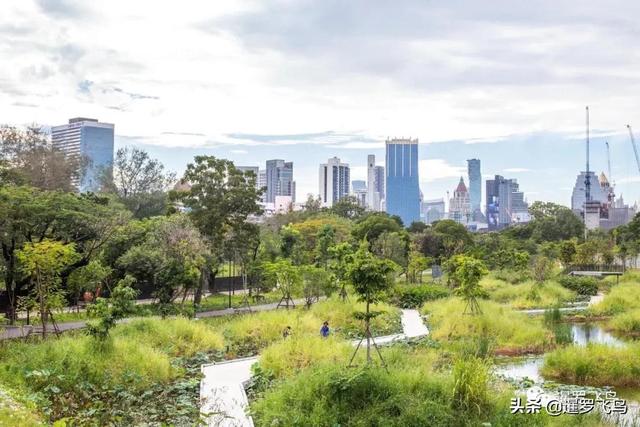 泰國旅行新打卡地：曼谷綠肺中央公園完工，市中心的湖景森林濕地