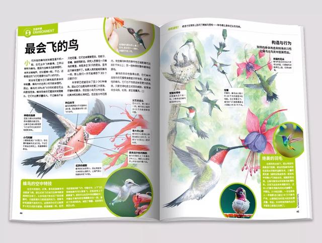 为什么中国孩子和国外孩子比较，缺少开创精神和国际化视野？