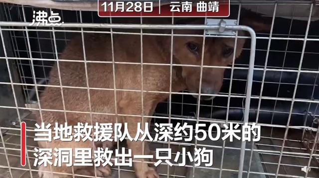 绘本分享 | 爱护动物，教孩子与自然和谐相处