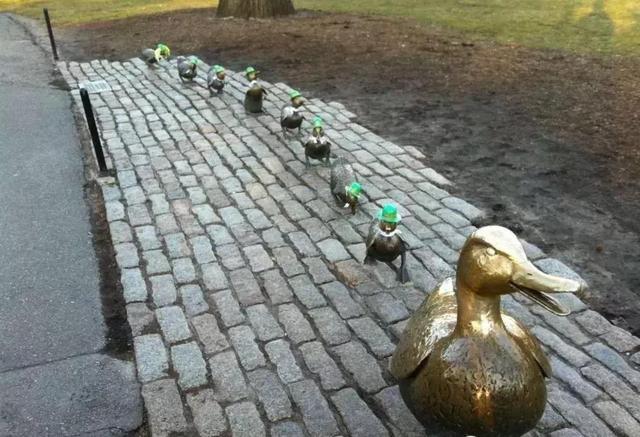 尊重生命——绘本《让路给小鸭子》