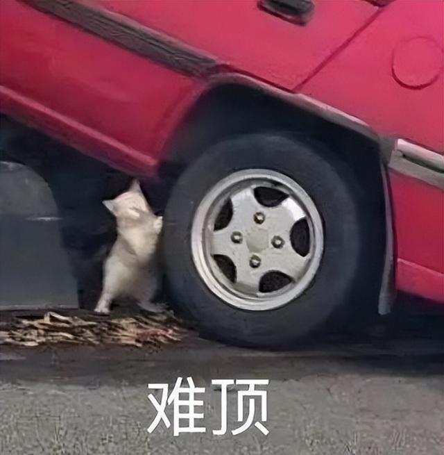 3399元！苹果这款产品滞销了三年，今天卖断货