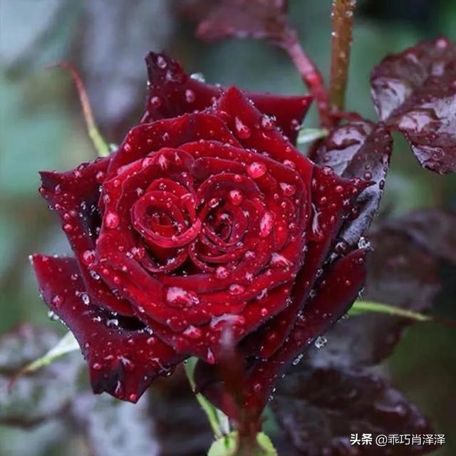 治愈我们心灵