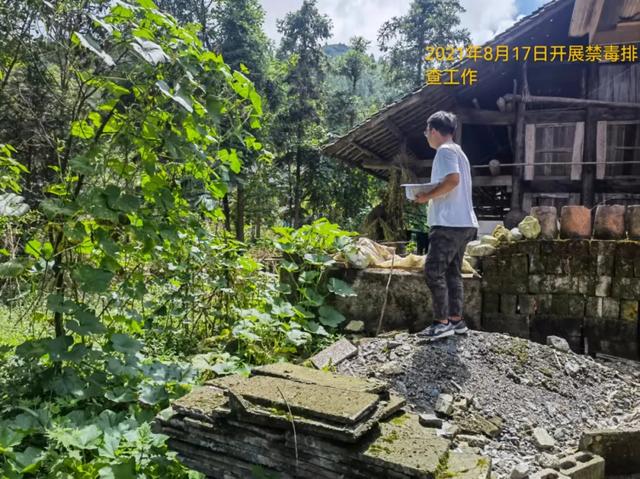 遵义大型木材破碎机