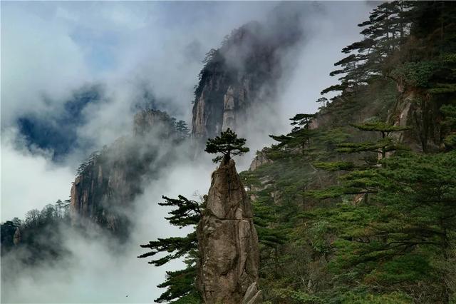 黃山自由行攻略路線_必看乾貨|此時來黃山,這份遊玩秘籍一定要收好!