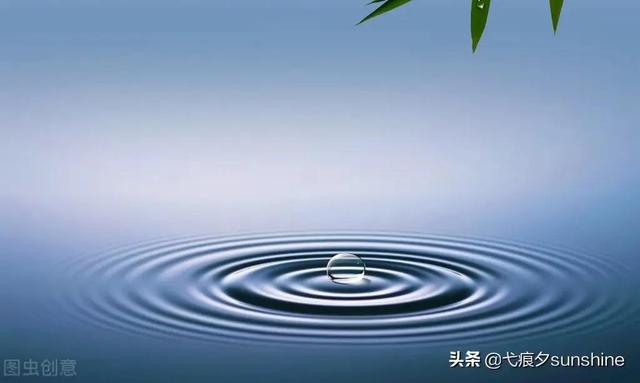 https://www.meipian.cn/56tosdlm