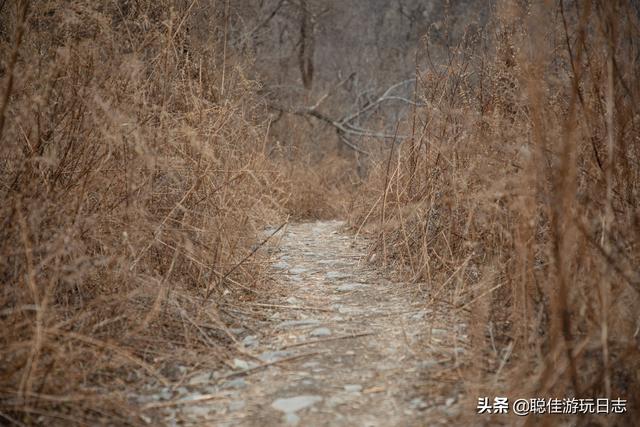 北京徒步登山：房山金祖山小環穿，九龍山登山步道，半景區半野路