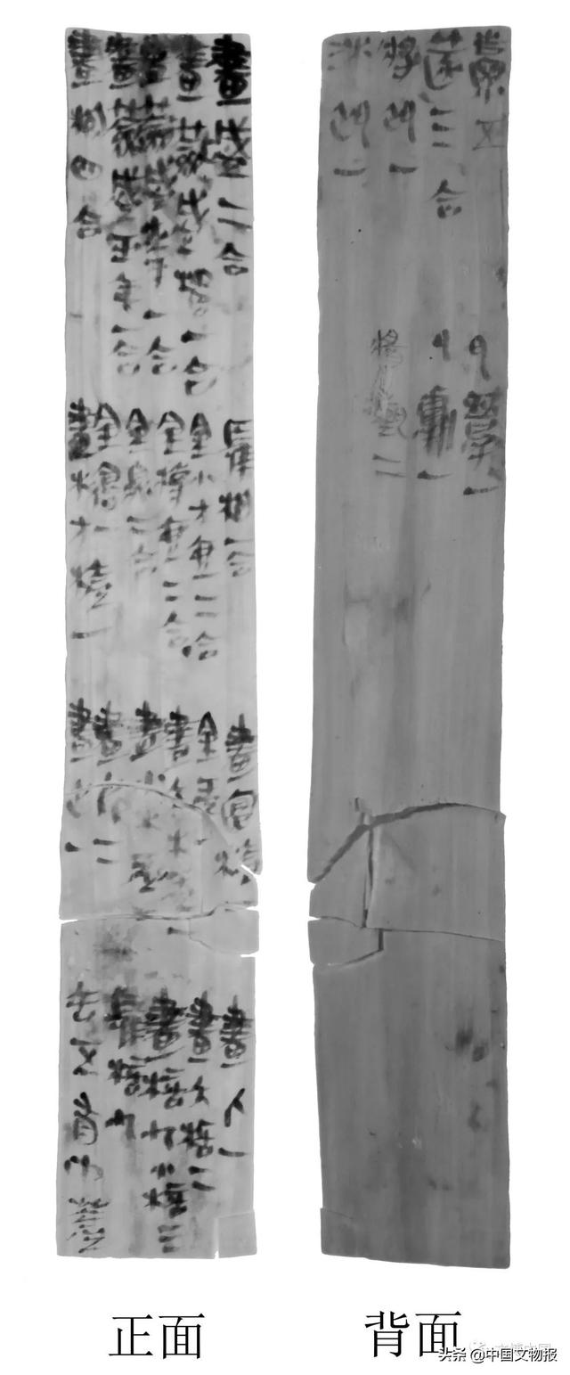 十大考古终评项目 | 云深一梦秦楚 木觚“纵横”旧事——湖北云梦郑家湖墓地