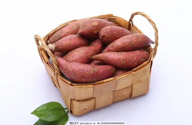 养生的饥饿疗法