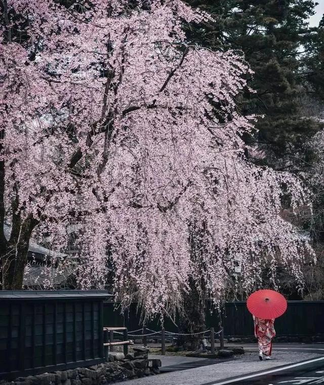 有審美的拍照才叫攝影，忘記遊客照吧，這樣的旅拍才有意思