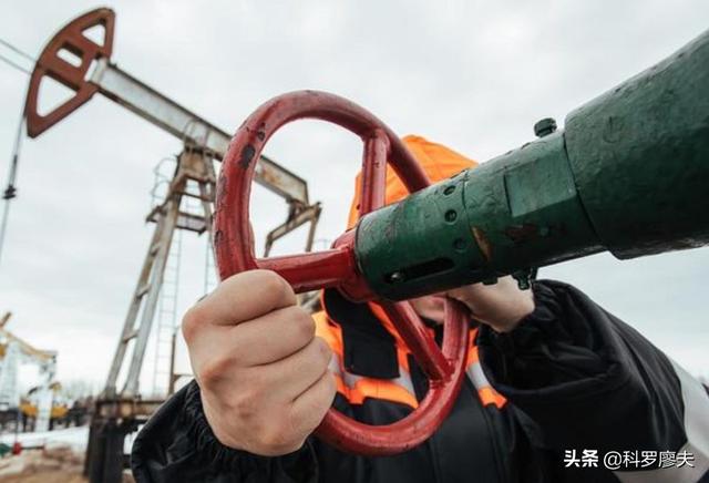 要维持高油价，拒绝增加产量，几大石油国公开表态，力挺俄罗斯