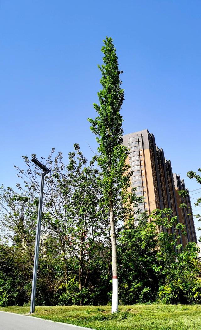 做人智慧：迷茫时读书，焦虑时运动