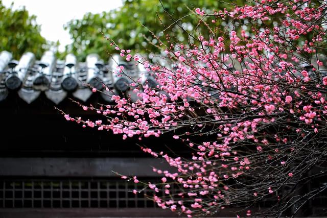 [微信智多星激活码]，微信说说如何改为全部可见