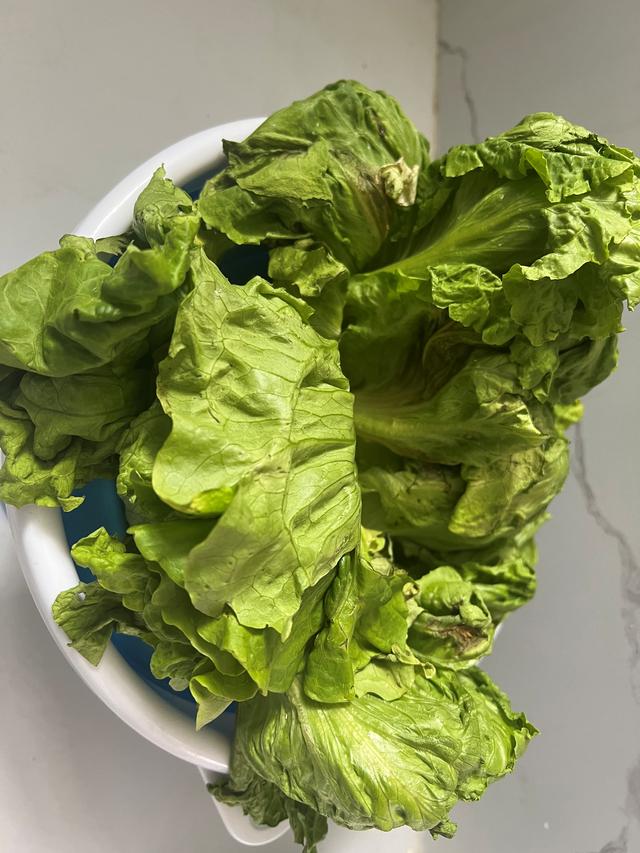 一个普通上海人的囤菜经历