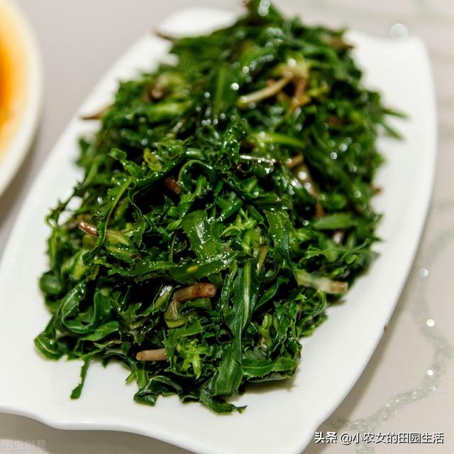 10种“神仙草”，春天采摘正当时，味道鲜美，还有益健康