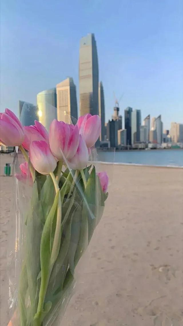 平安健康就好，其他都是锦上添花