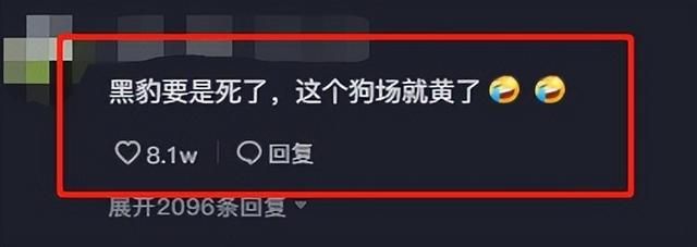 黑色罗威纳犬狗仗人势（豫西小丁全网人仗狗势）(22)