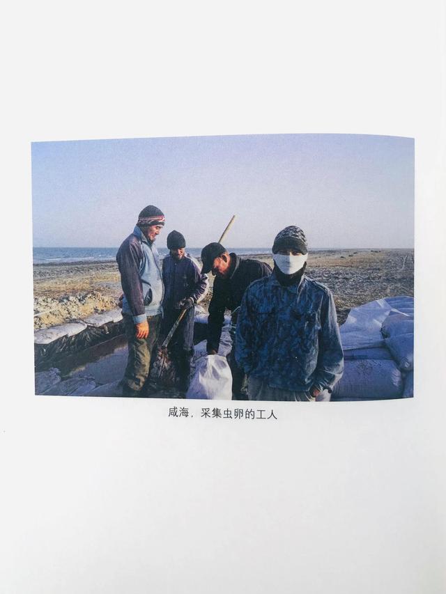 我所向往的旅行生活-讀《失落的衛星，深入中亞大陸的旅程》