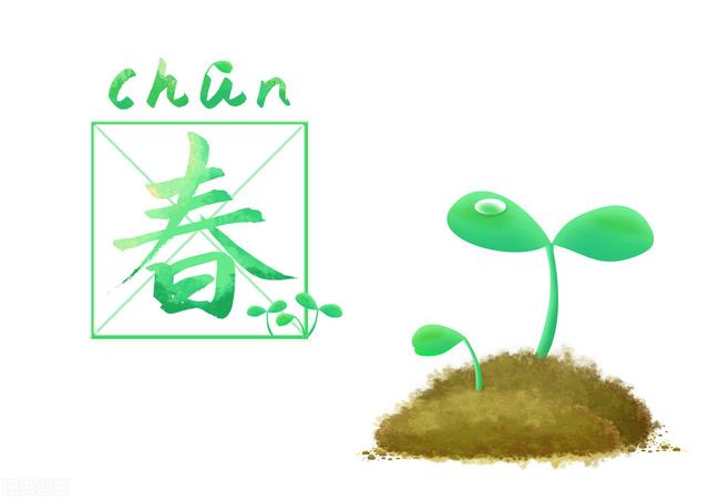 今日春分，养生就是吃好三样，喝好三样，做好三样