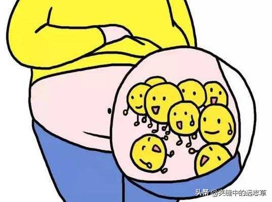 血脂高？多源于脾肾阳虚，送你六味中药，温脾肾、祛痰浊、化血瘀