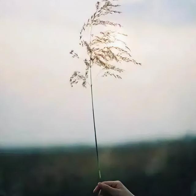 有一种素质，叫尊重