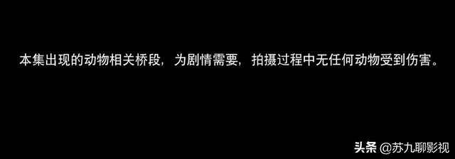 官媒点评《且试天下》剧组虐马事件，另外两部剧的求生欲堪称典范