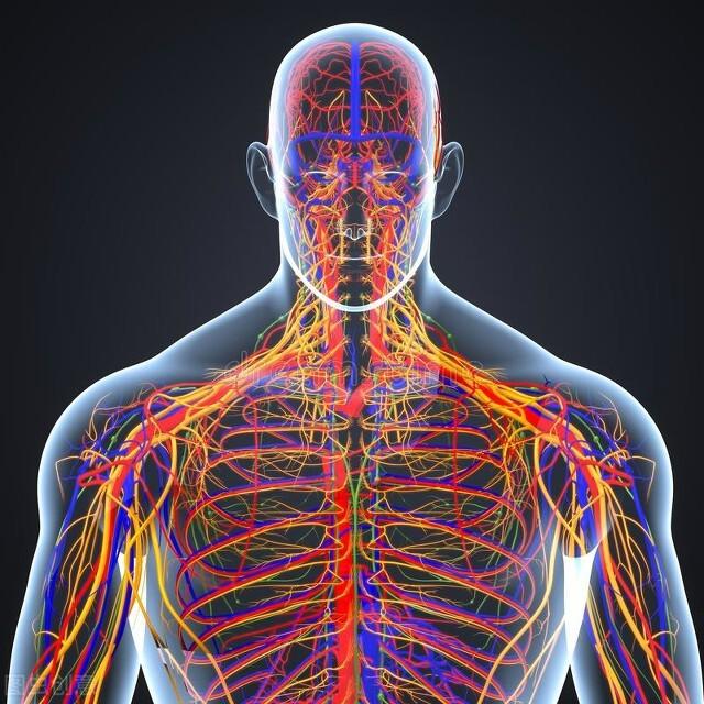 2个中成药，抗炎抗氧化、修复神经、促进传导，改善糖友麻木疼痛