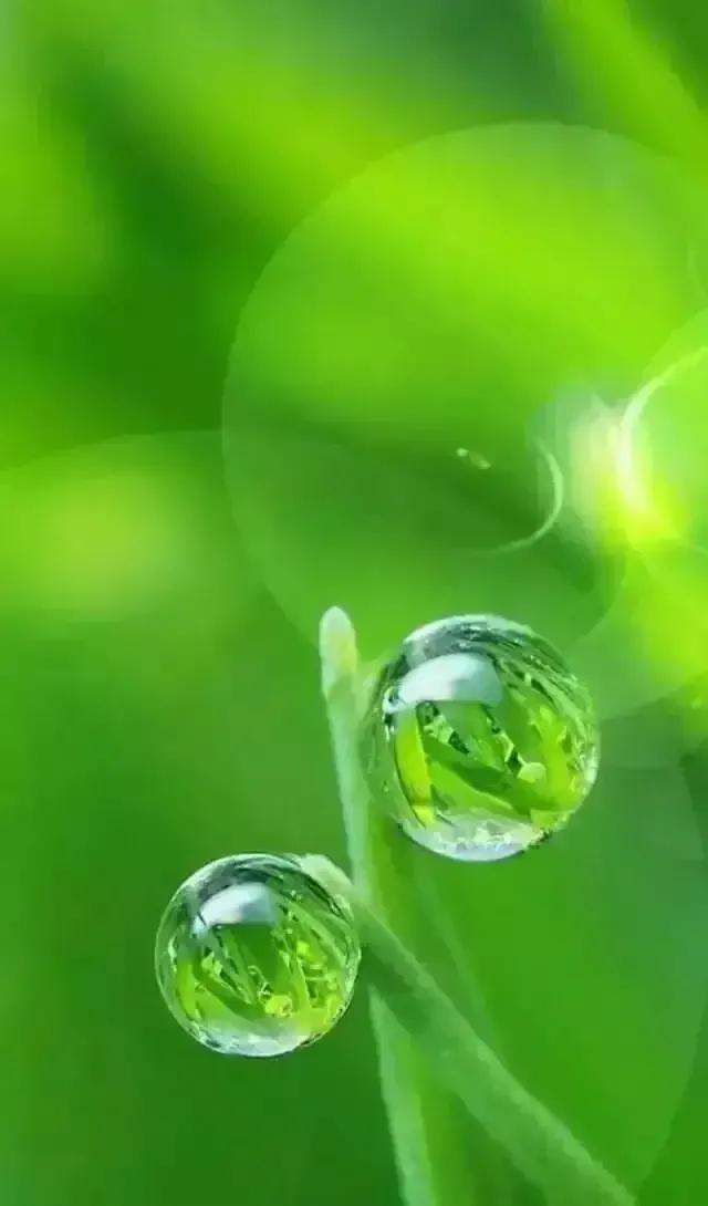 不管是生活，还是工作，不是谁离不开谁，唯有懂得珍惜才算拥有