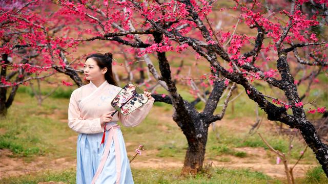 迟日江山丽，四月雅茶香