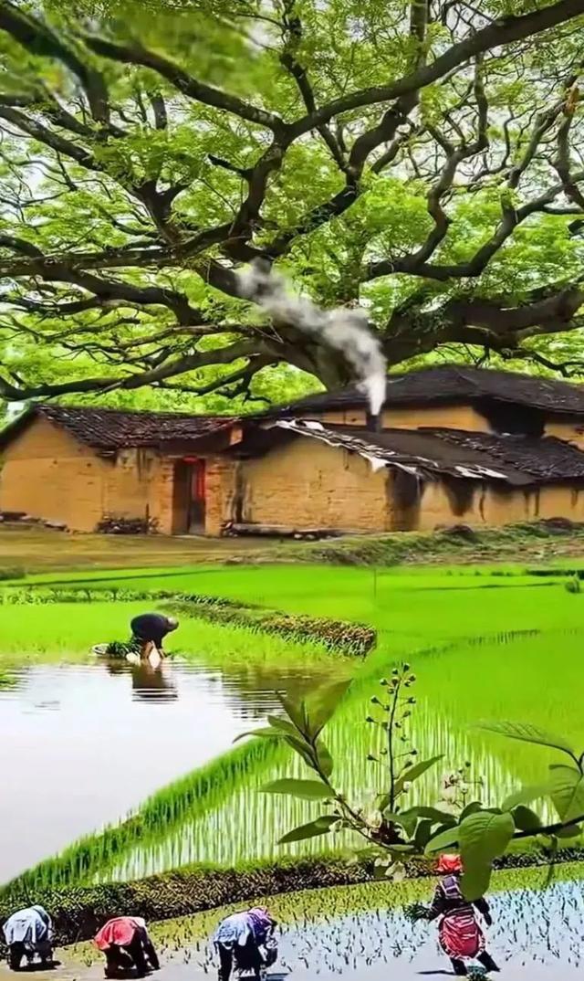 故乡美，惹人醉
