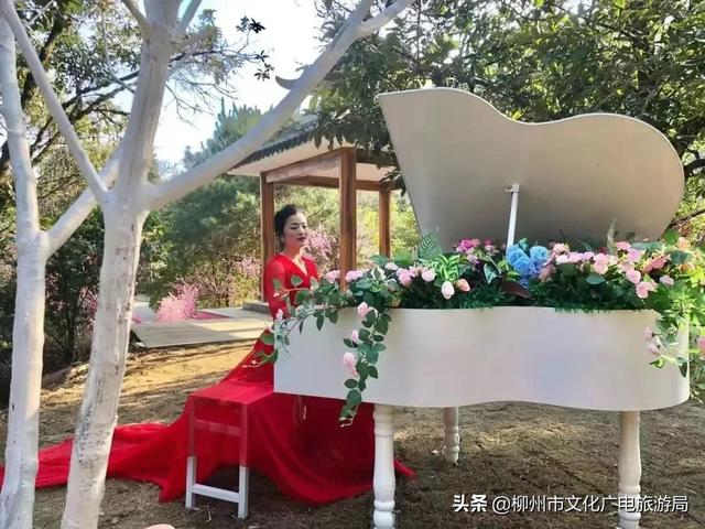 雙龍溝最全打卡攻略出爐，推給朋友絕對沒錯！