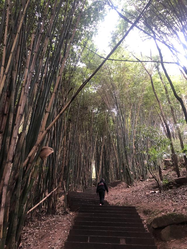 一不小心又成了夜遊~周末街子古鎮康道徒步到光嚴禅院~腳都走麻了