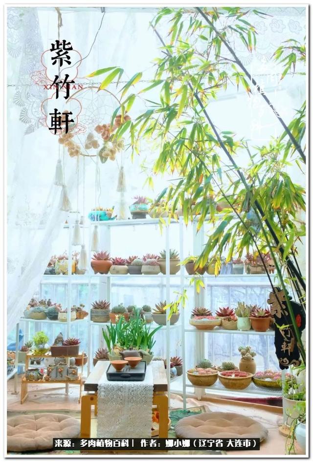 辽宁螺旋洗砂机出售